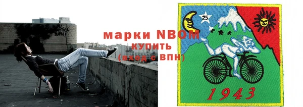 шишки Вязники